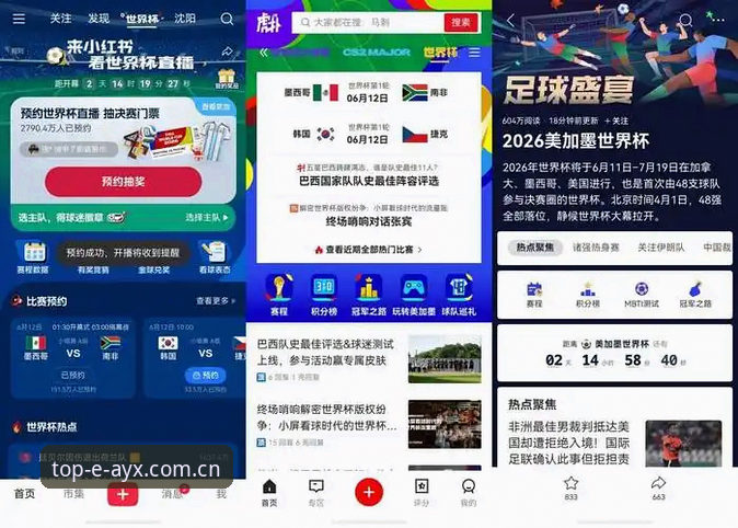 资深用户深度解析：从世界杯签证困局看跨境观赛的正确打开方式